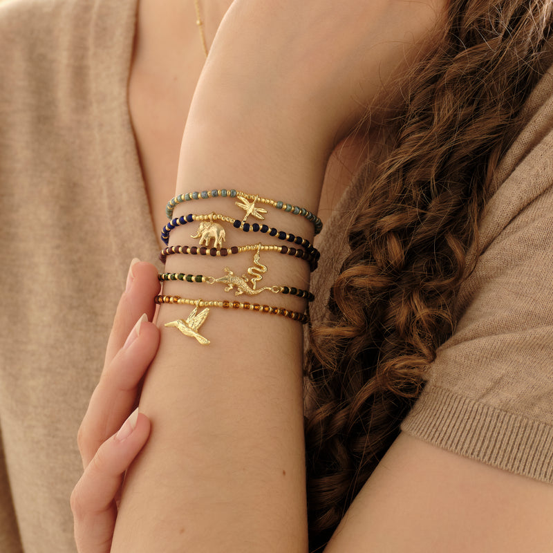 Discover the full collection