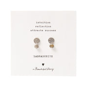 Mini Coin Labradorit versilberte Ohrringe