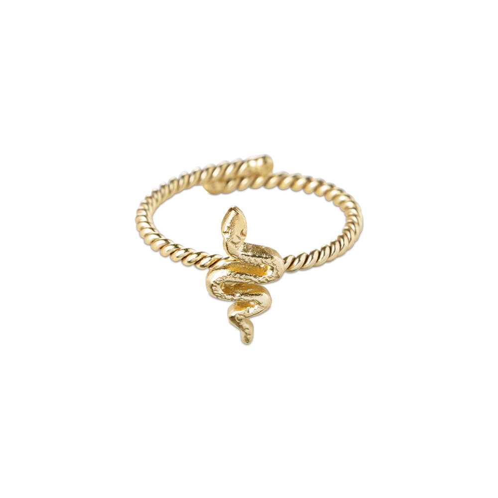 Honorable Slang Ring Verguld