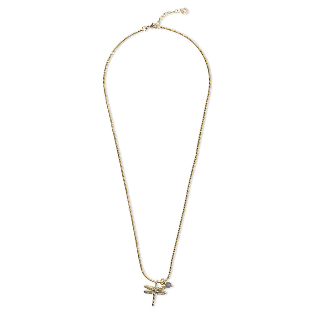 Wild Libelle Labradoriet Ketting