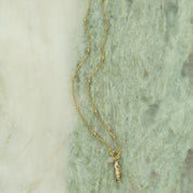 Instinct Vis Maansteen Ketting