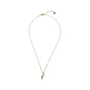 Instinct Vis Maansteen Ketting