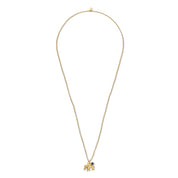 Paradise Lapis Lazuli Necklace Gold Colored
