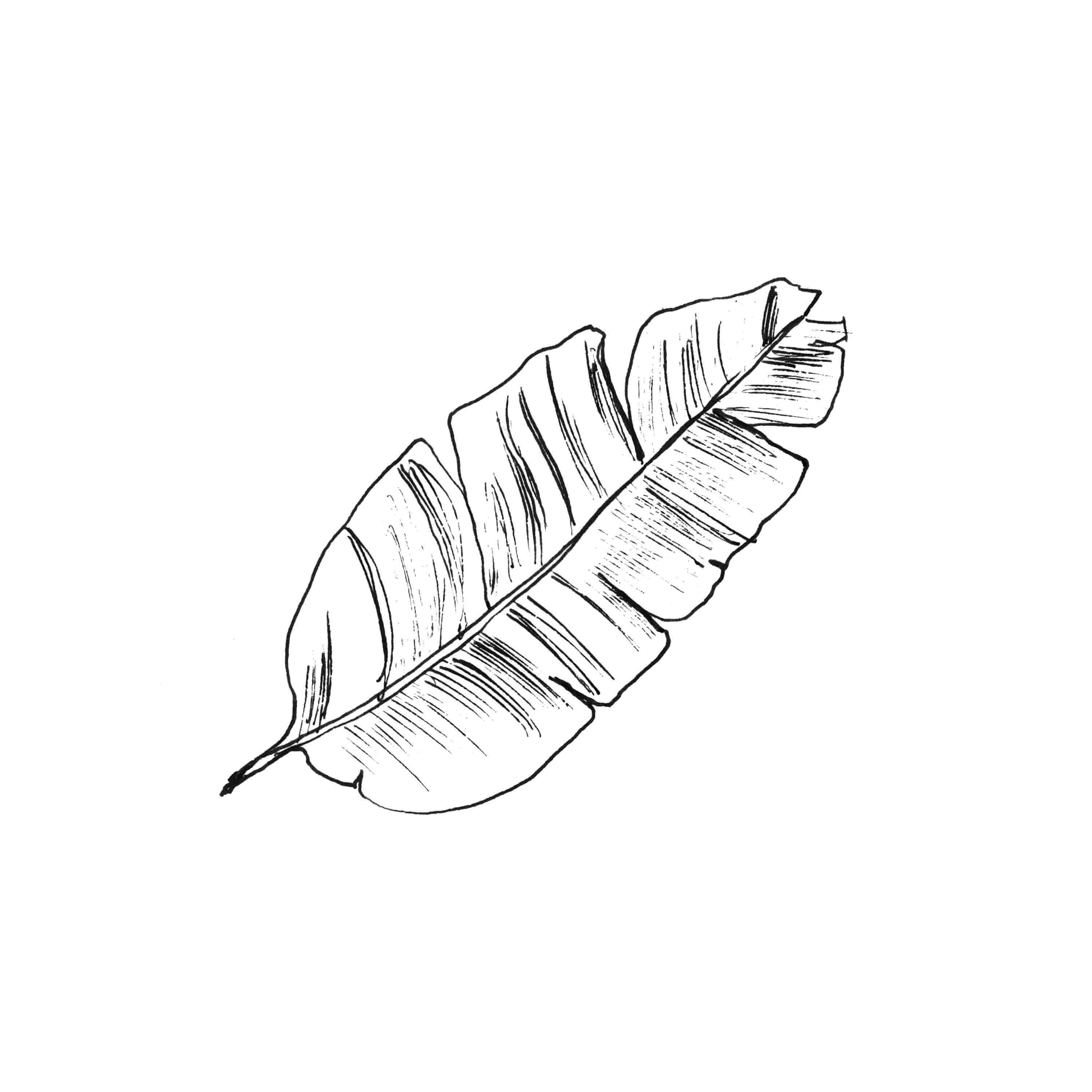 Leaf