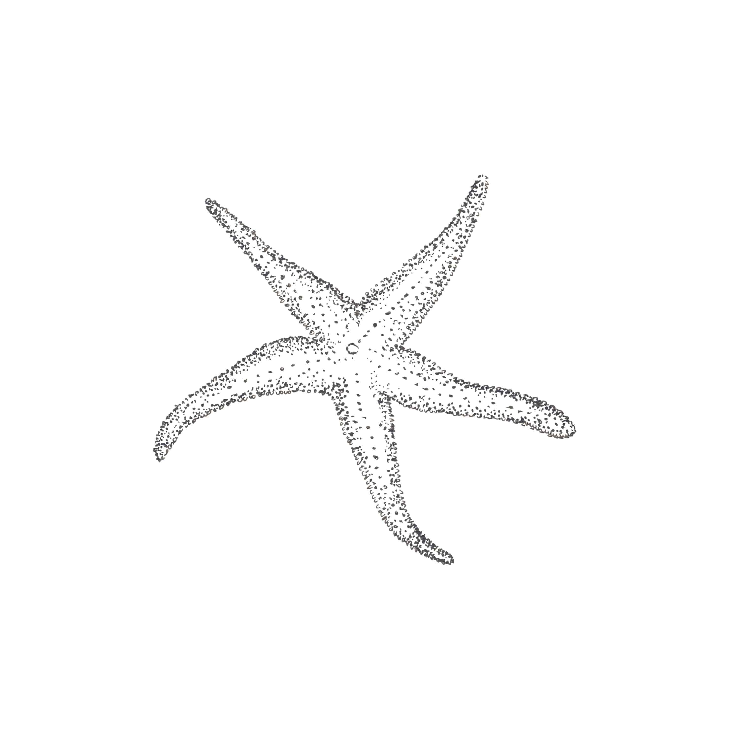 Starfish