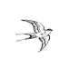 Swallow