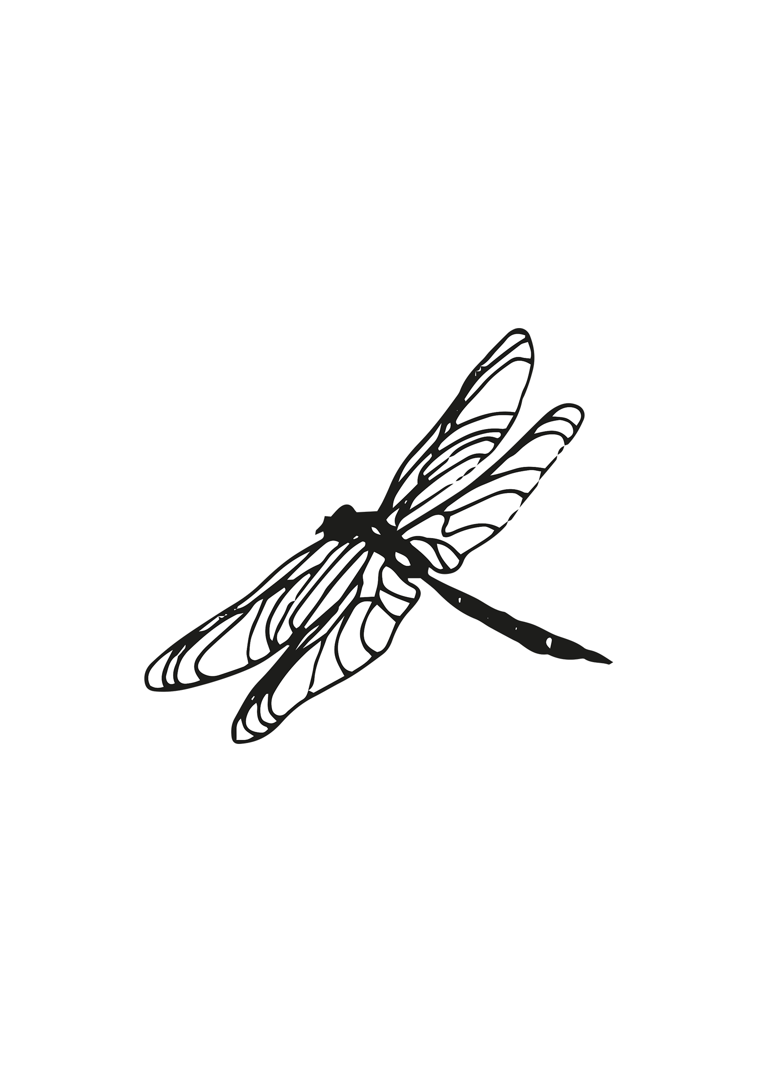 Dragonfly