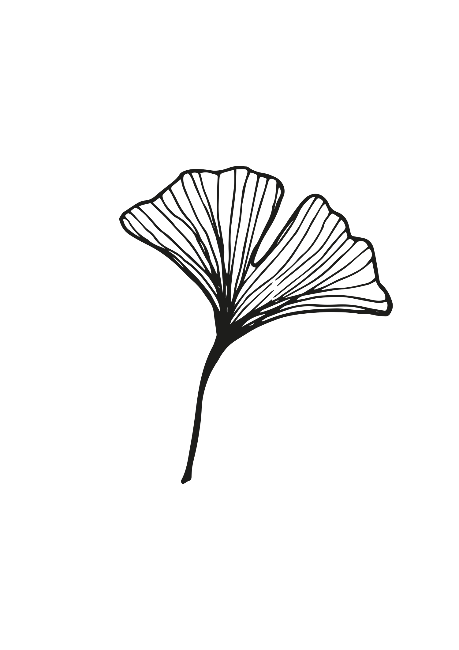 Ginkgo